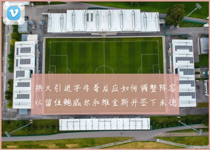 热火引进字母哥后应如何调整阵容以留住鲍威尔和维金斯并签下米德尔顿
