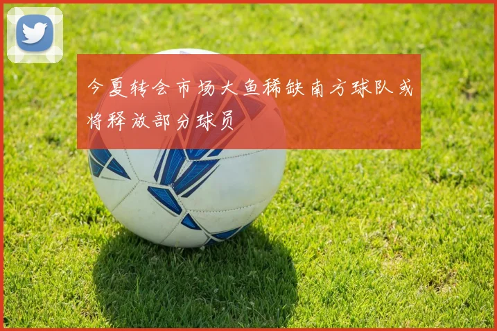 今夏转会市场大鱼稀缺南方球队或将释放部分球员